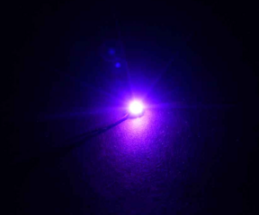 LMB 810105 Bit Lights Purple